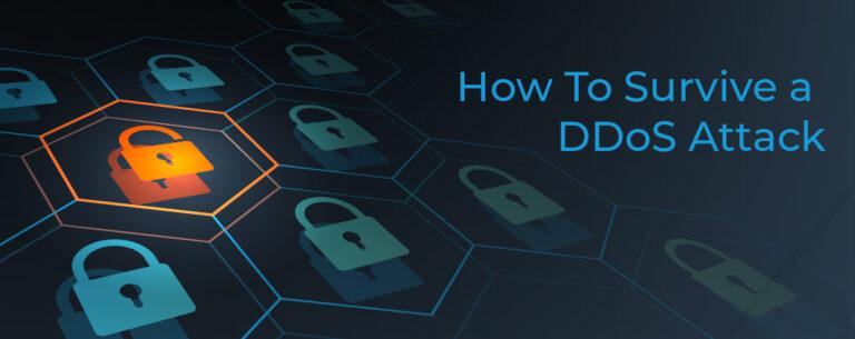 WordPress DDoS Attack: How to Secure Your Website