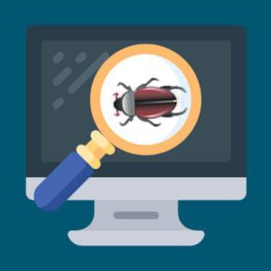 bugissue